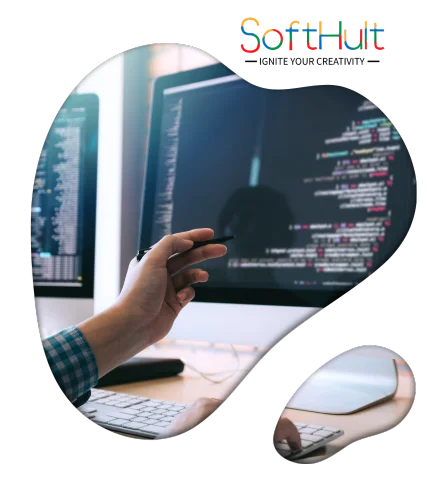 Custom Web Development
